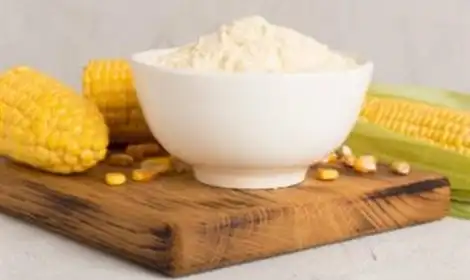 Why Athletes Use Hydrolyzed Corn Protein Powder for Performance?